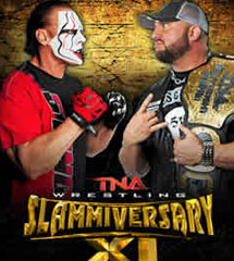 TNA《Slammiversary 9期》2013年6月3日