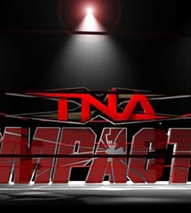 <b>TNA2013年6月21日_IMPACT 2013.06.21</b>