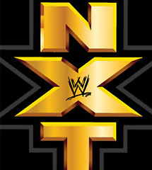 <b>WWE2013年11月20日【NXT最新赛事】</b>