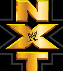 <b>WWE2013年12月12日【NXT最新赛事】</b>