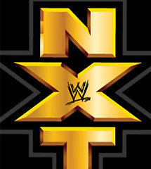 <b>WWE2013年12月19日【NXT最新赛事】</b>