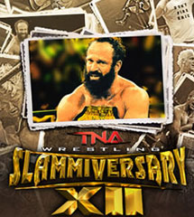 <b>TNA2014年6月16日【Slammiversary2014】</b>