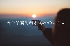 两个字霸气网名,高冷的二字id