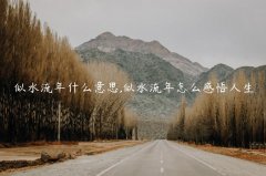 似水流年什么意思,似水流年怎么感悟人生