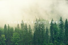 什么网名好听又有内涵,2021最新昵称