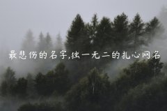 最悲伤的名字,独一无二的扎心网名