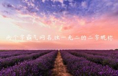 两个字霸气网名,独一无二的二字昵称