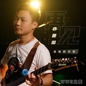 《再见亦是泪》流行歌曲精彩专业评价