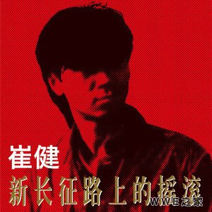 《不是我不明白》最火热门歌曲音乐热评